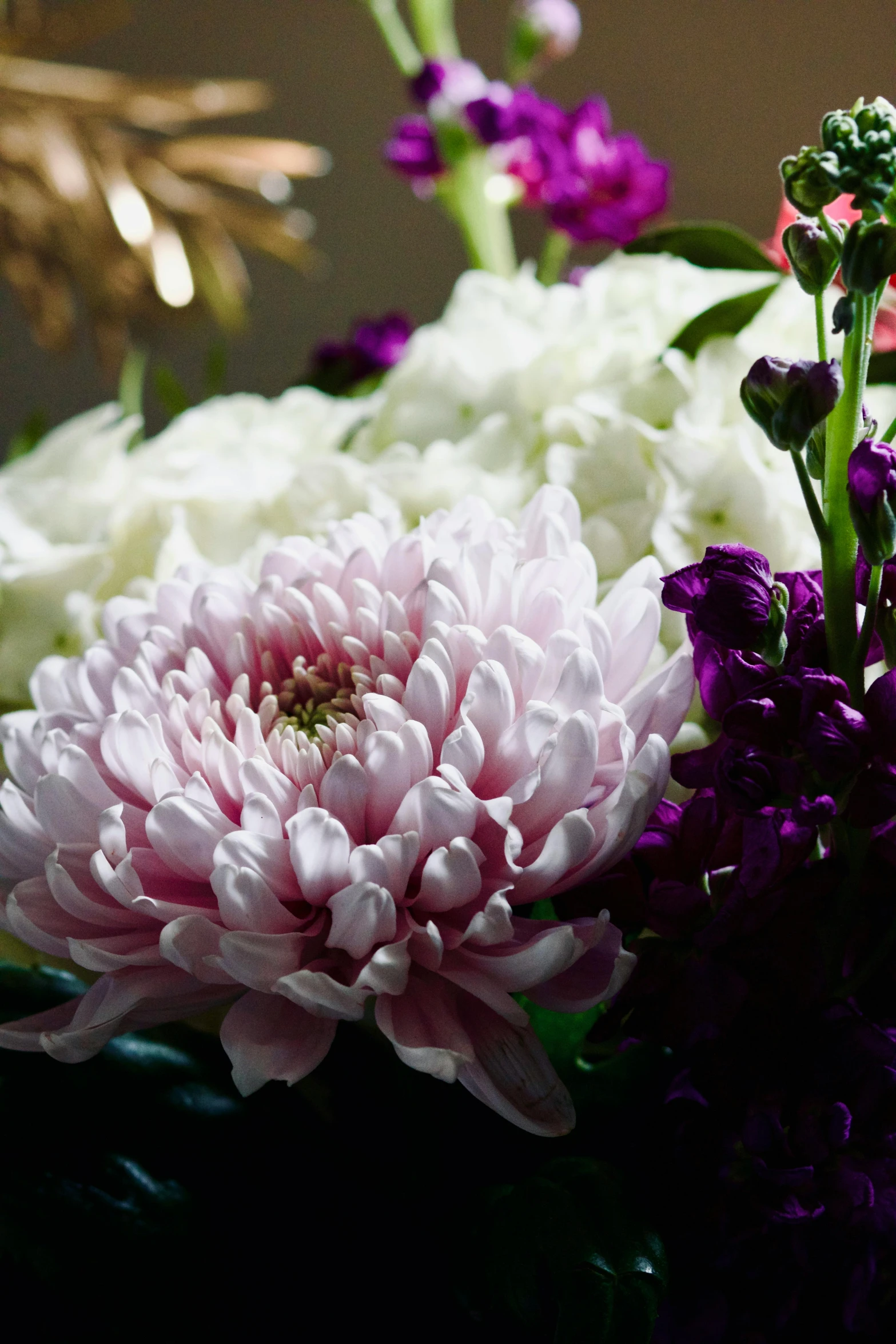 a group of flowers sitting next to each other