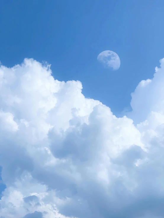 a group of birds in the middle of a partly cloudy sky