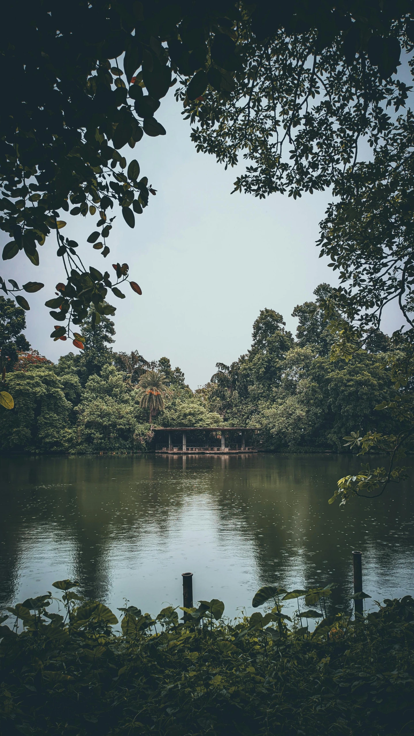 there are many trees and bushes near the water