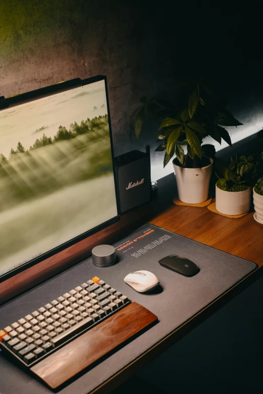 a wooden desk has a computer on it and plants