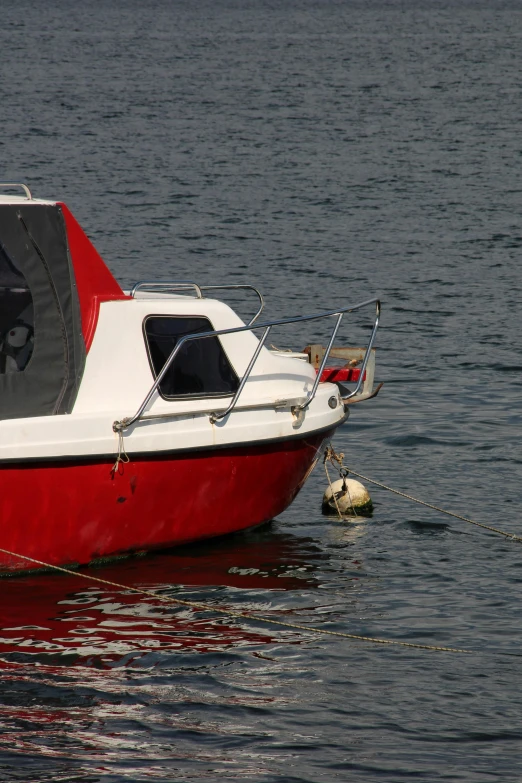 a boat on water that has a dog on it