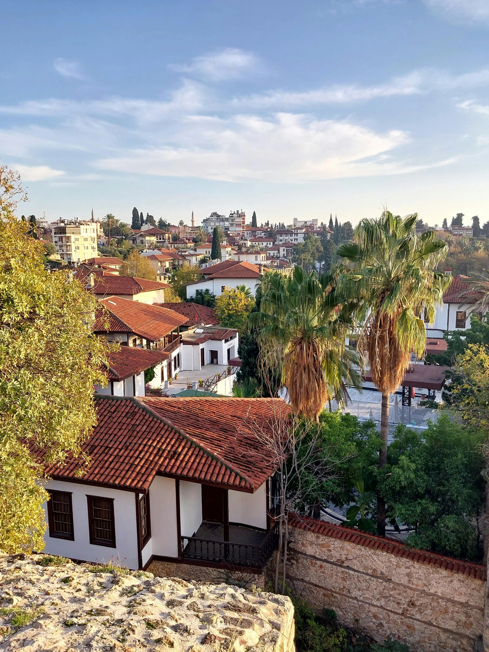 a cityscape with many windows and some trees