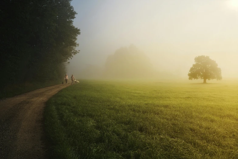 people walking down a path surrounded by fog