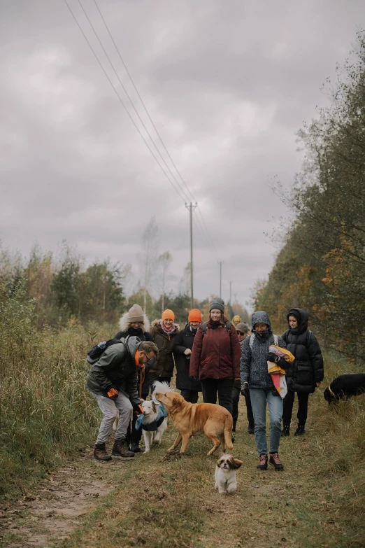 a group of people with dogs on a road