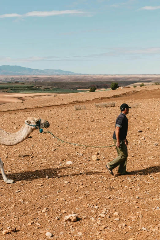 a man in desert setting with a camel