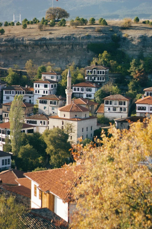 a group of houses with trees in the background