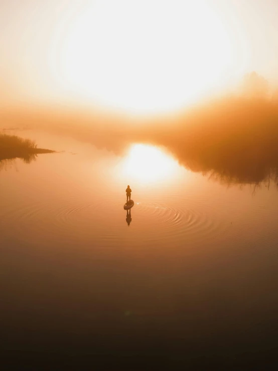 an animal stands in a lake at sunset