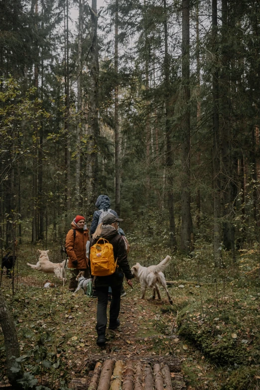 two people in a forest with a dog