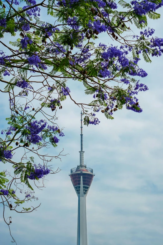 the tall tower has purple flowers in the foreground