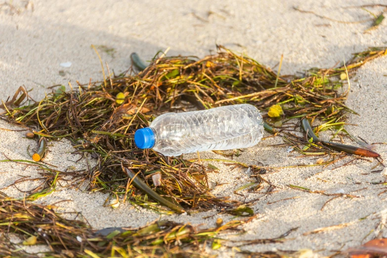 a plastic bottle and other debris lying on the beach