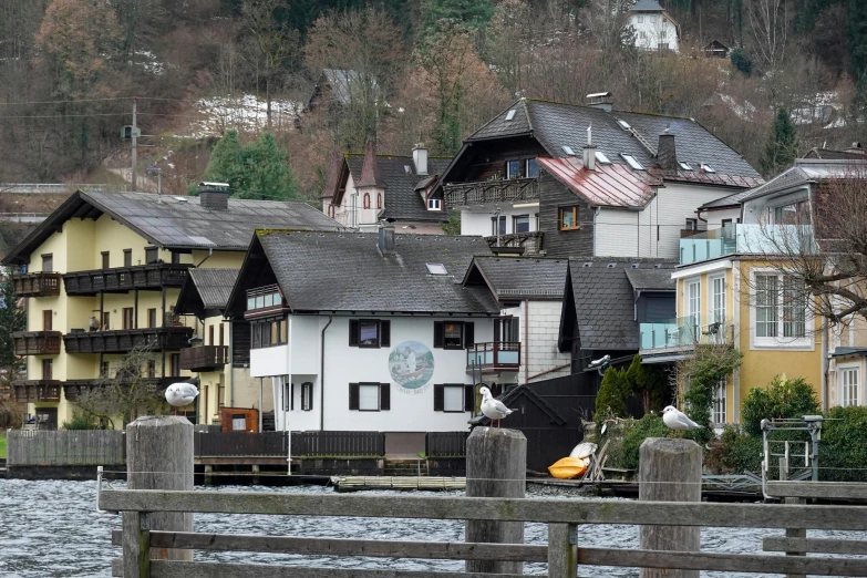 many houses next to a river with birds sitting on the fence