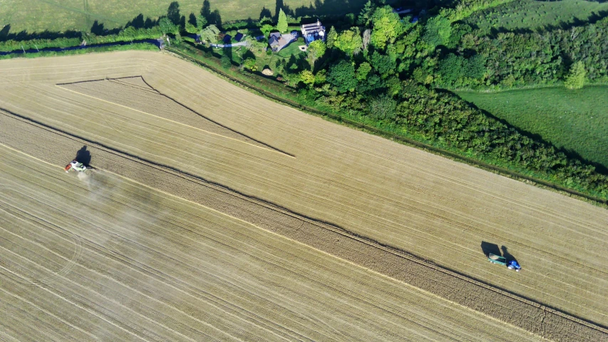 an aerial view of two combineers harvesting the crop