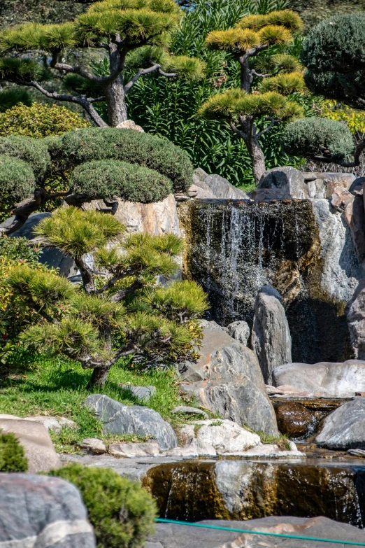 there are many water features in this park