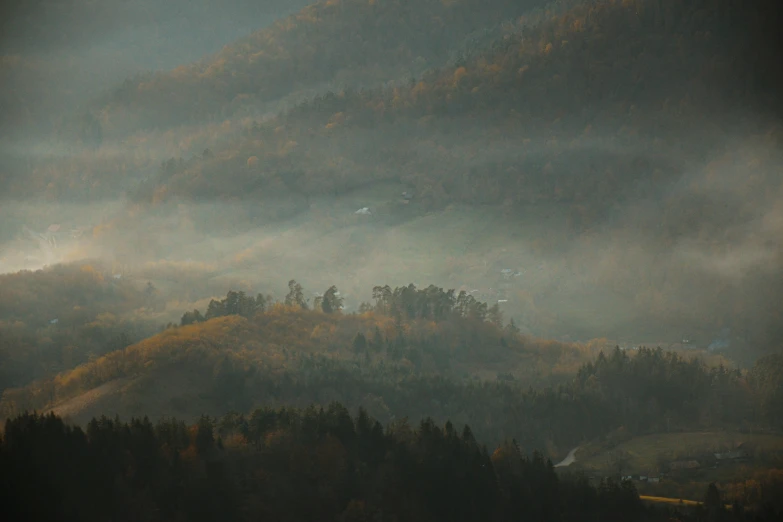 mist covers the forested hillsides on a rainy day