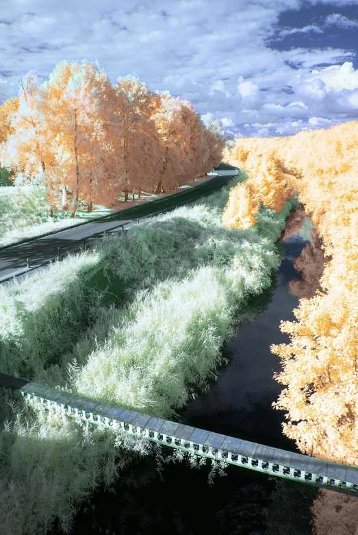 an image of fall trees and a train tracks