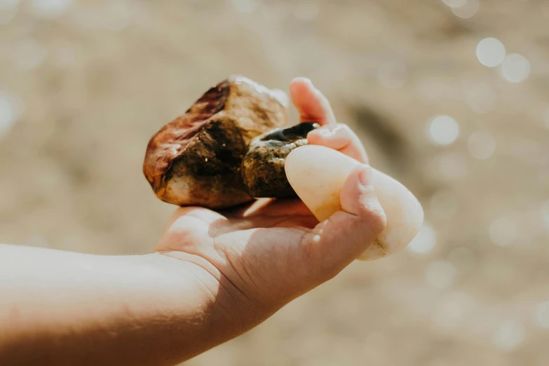 a hand holding up an apple slice, partially eaten