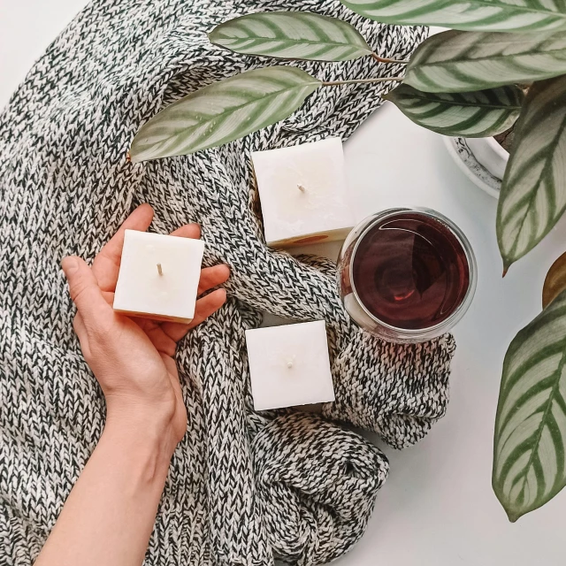 woman's hands holding soap blocks next to a potted plant