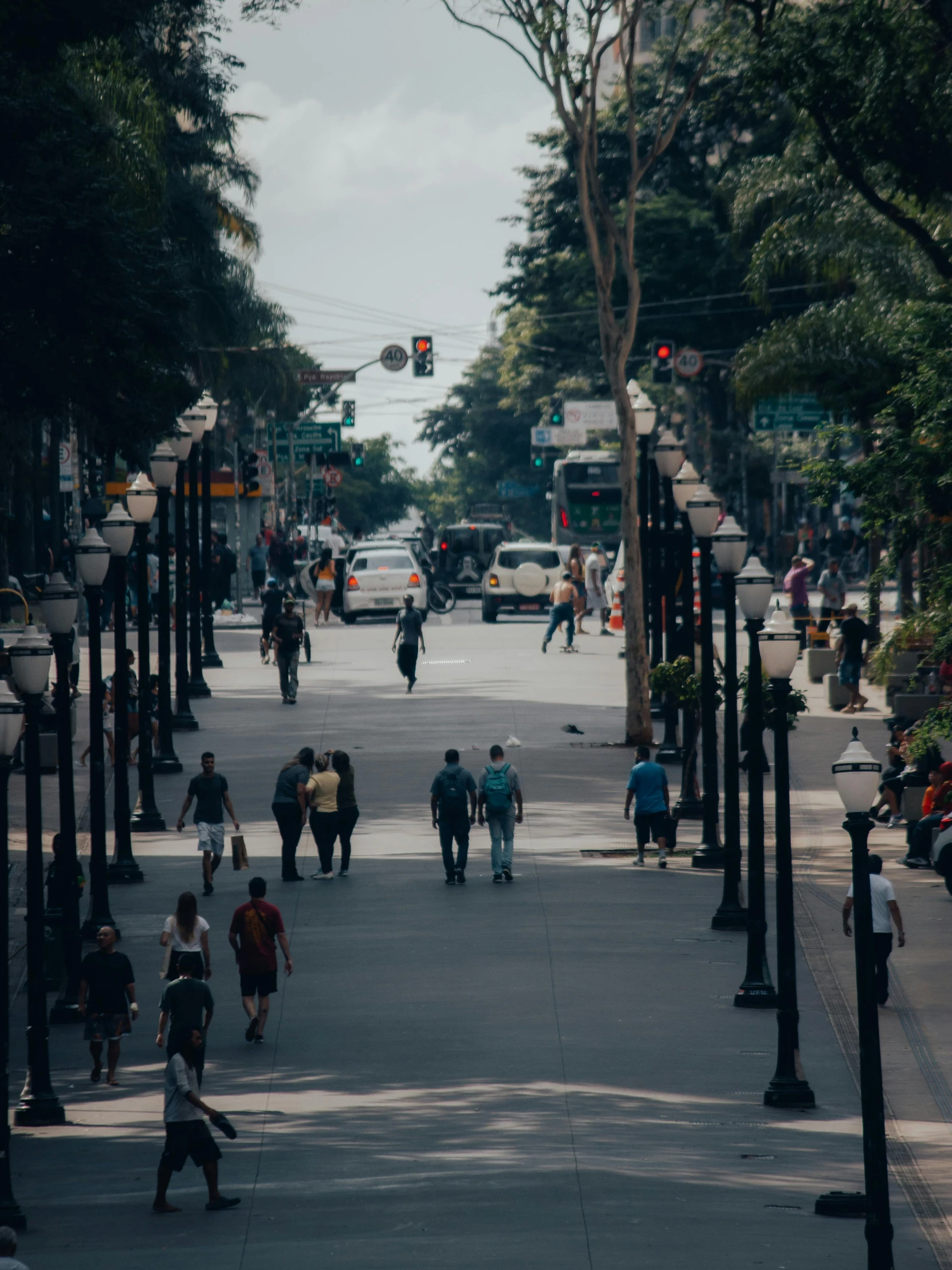 many people walk down a paved street, in the background are trees and cars