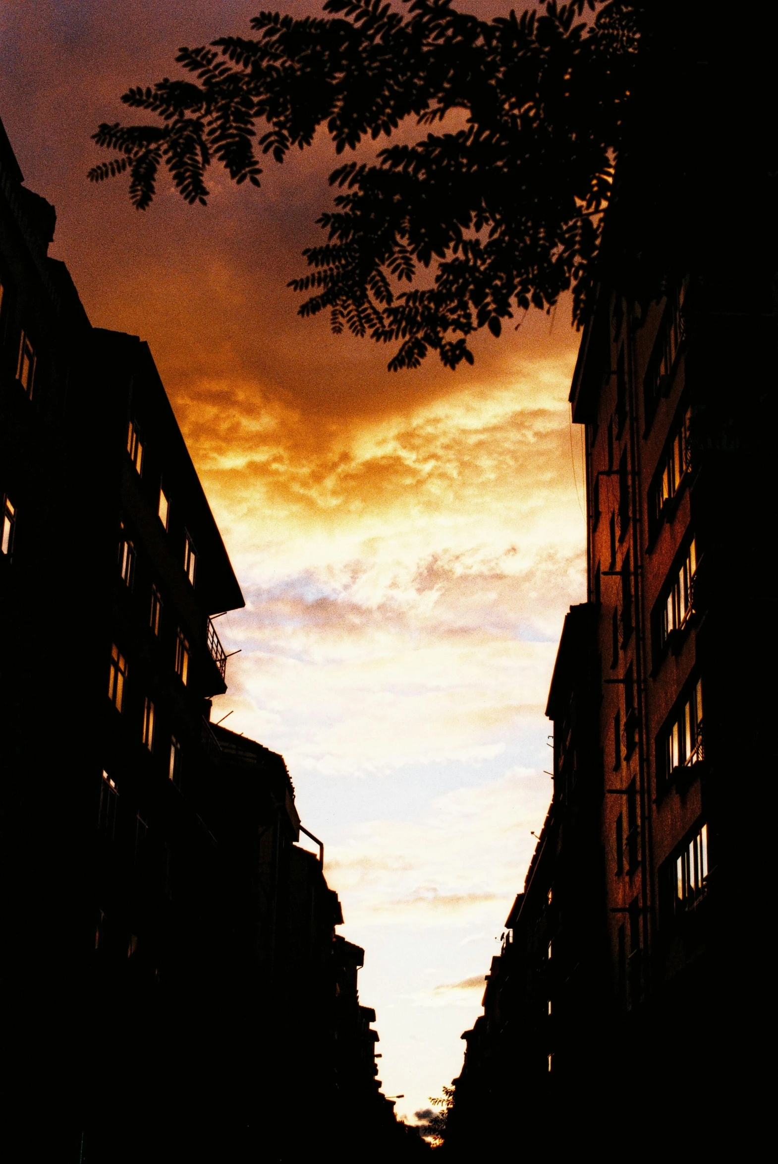 the sun is setting behind some buildings with tall trees