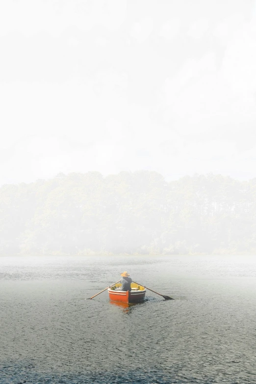 a man in a rowboat on a foggy body of water