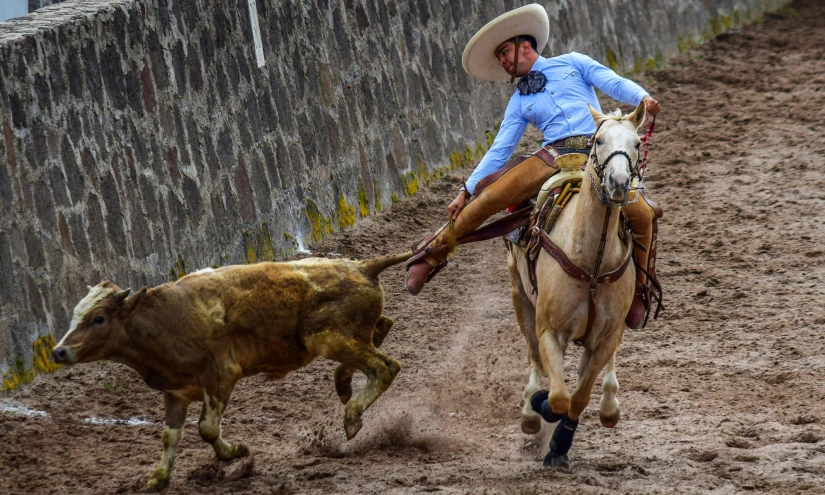 a man riding on the back of a horse next to a cow