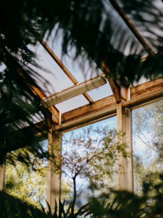 two windows look at the trees outside