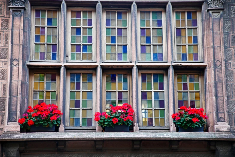 a window with some flowers and potted plants inside