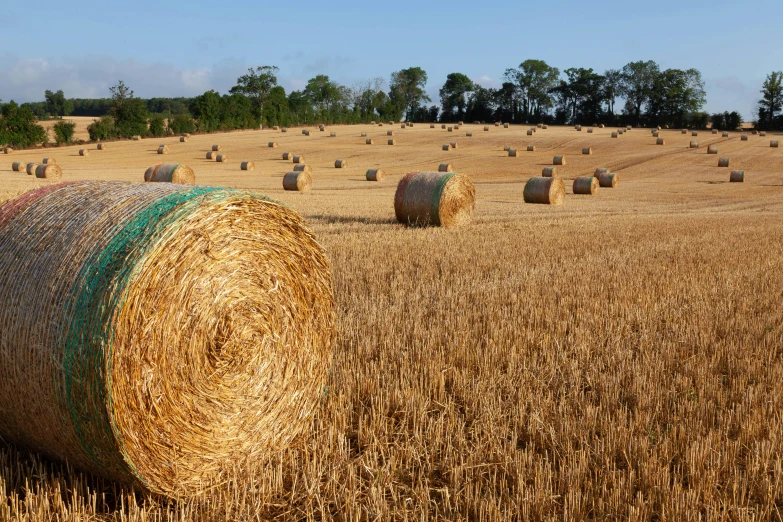 the large bales are laying in a large field