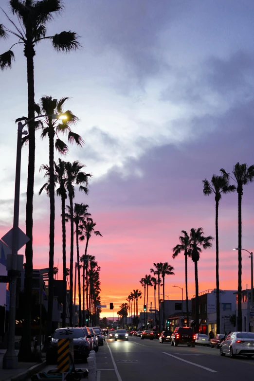 a city street with palm trees at dusk