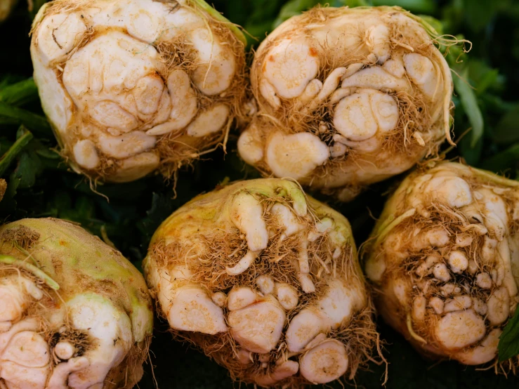 a bunch of brown and green onions with the roots removed