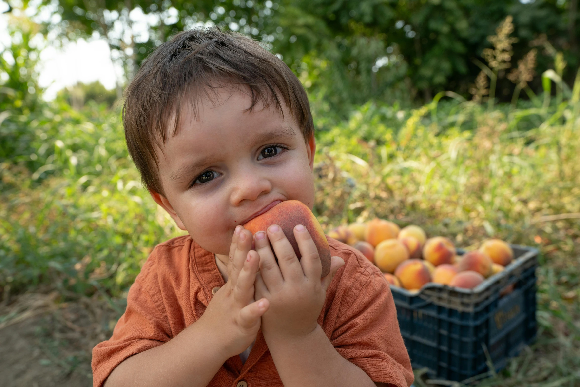 a little boy holding food up to his mouth