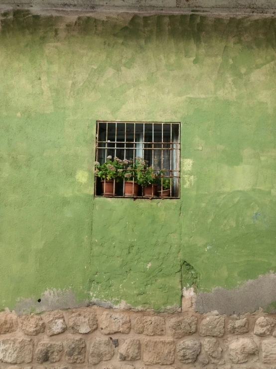 a window with plants on it and on the side of a building