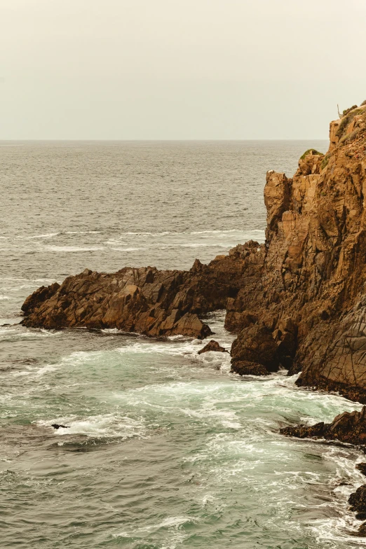 a bird on a rocky coast next to the ocean