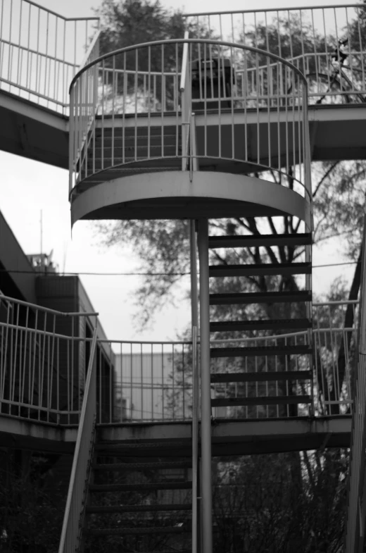 a staircase and trees on a cloudy day