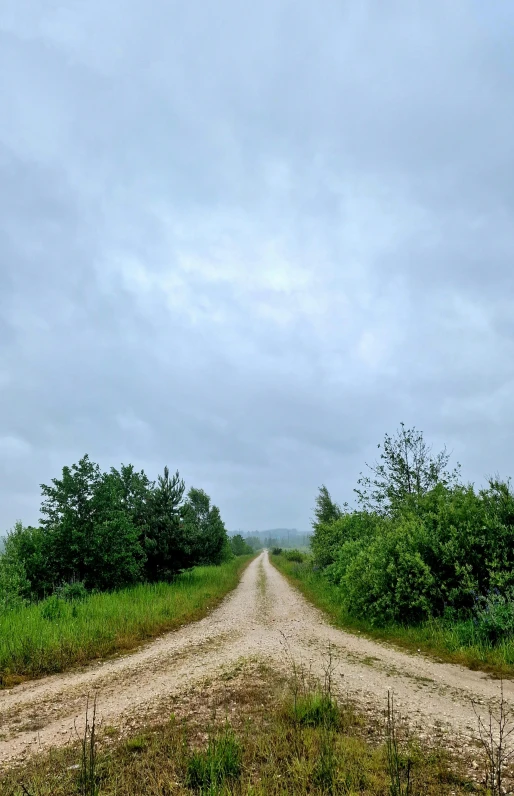 a lonely dirt road with lots of grass on the sides