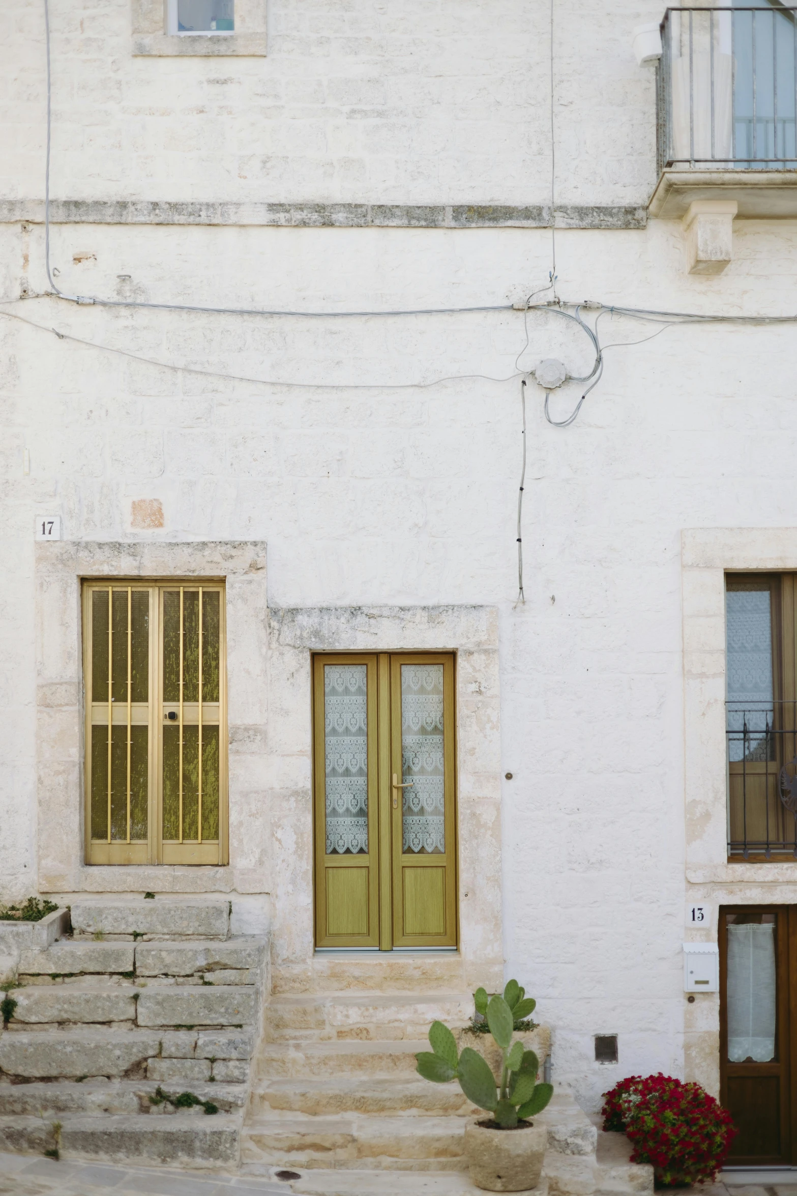 a green cactus outside of a house with steps