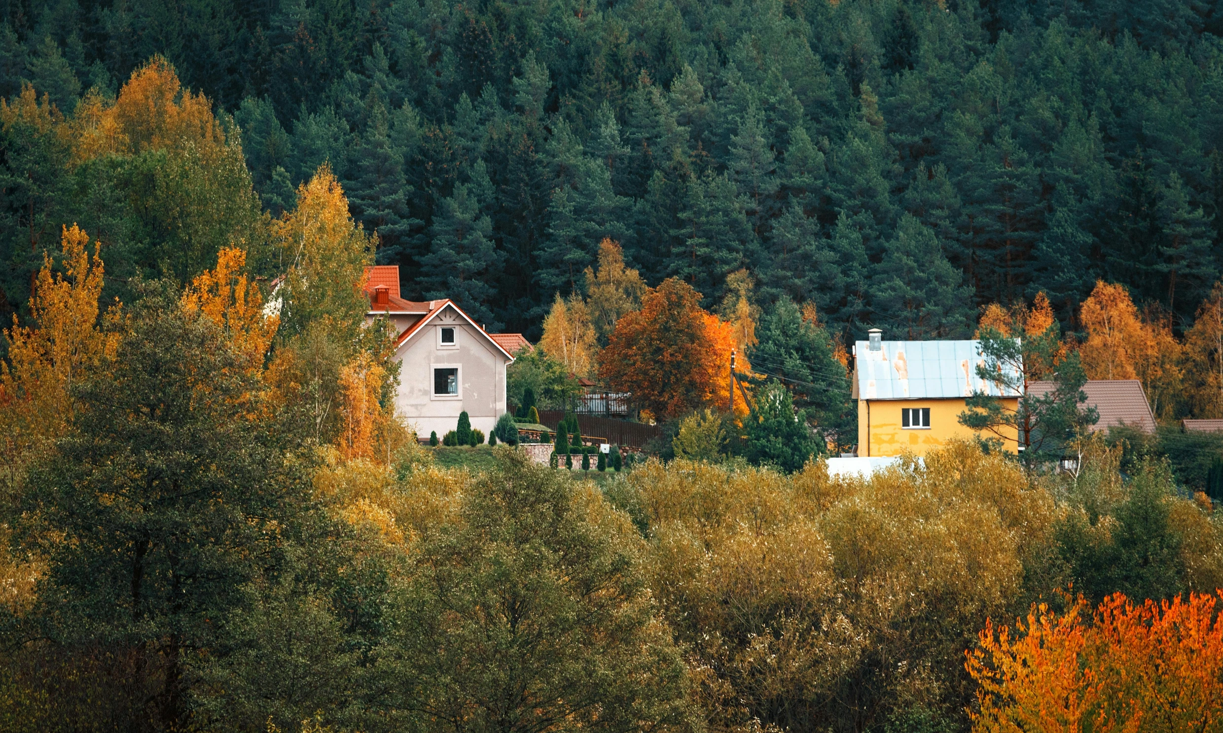 several houses surrounded by trees in front of a hillside