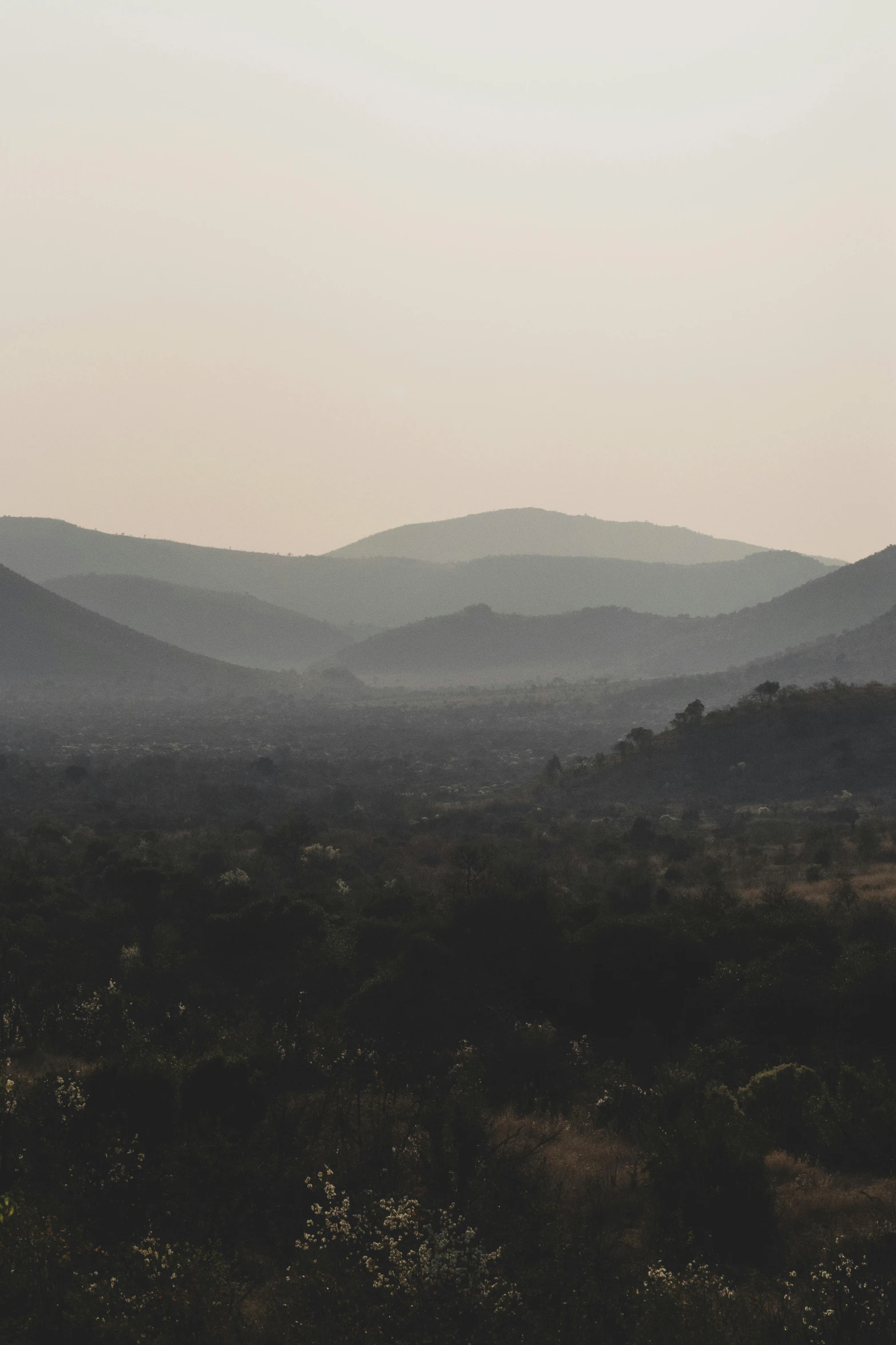 a distant view of the mountains, with trees in foreground