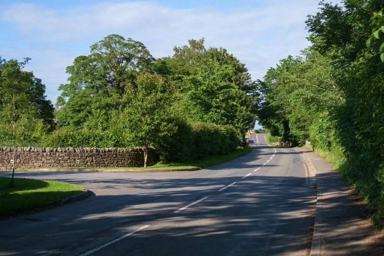 a tree lined street with a fence and trees next to it