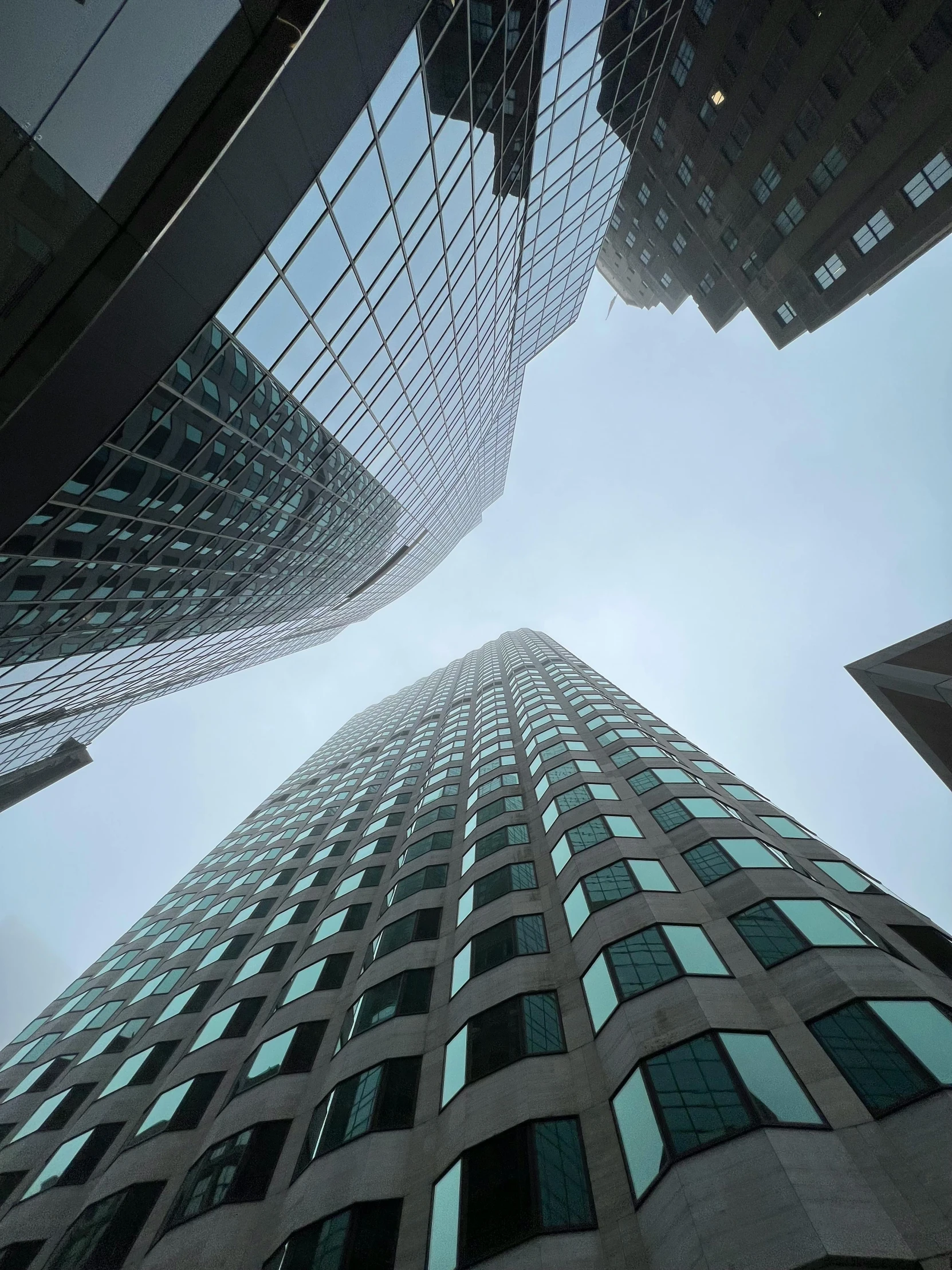 tall buildings from the ground in the city