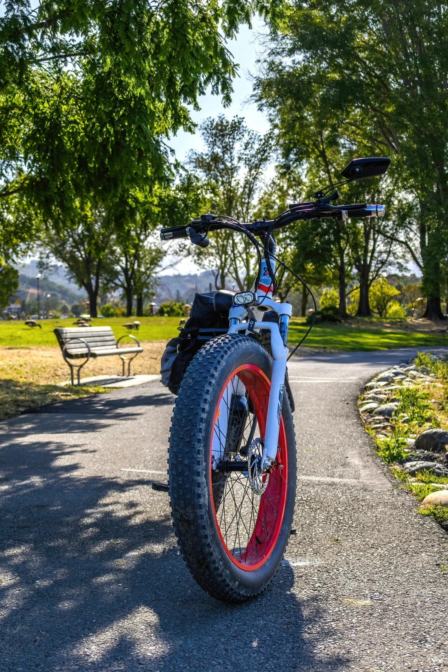 a red wheel bicycle parked on the side of the street