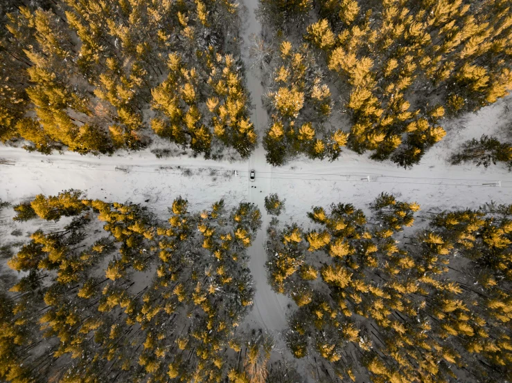 an aerial s of a snow covered road and trees