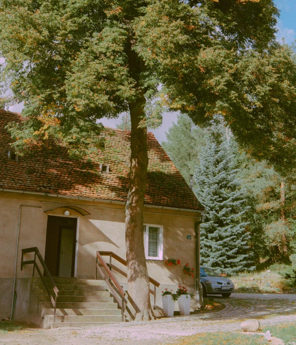 a large tree next to a building in a forest