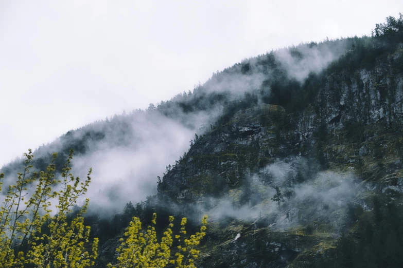 a group of trees near a hill on a cloudy day