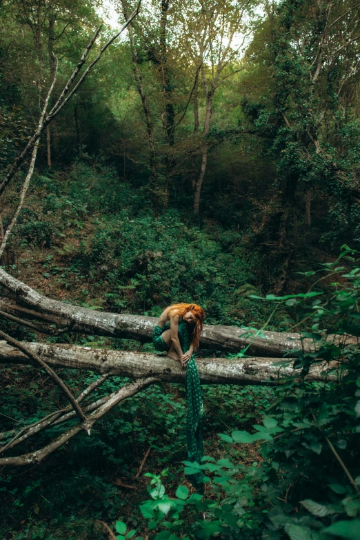 a man in the forest carrying a large log