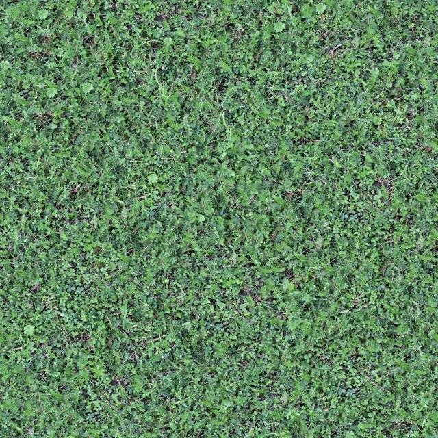 a green grass pattern background for your design