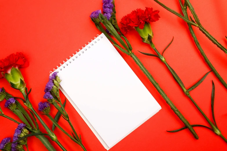 a notepad sits next to flowers, which appear to be red