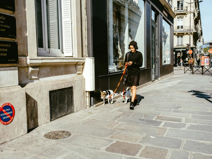 the woman is walking two small dogs on leashes