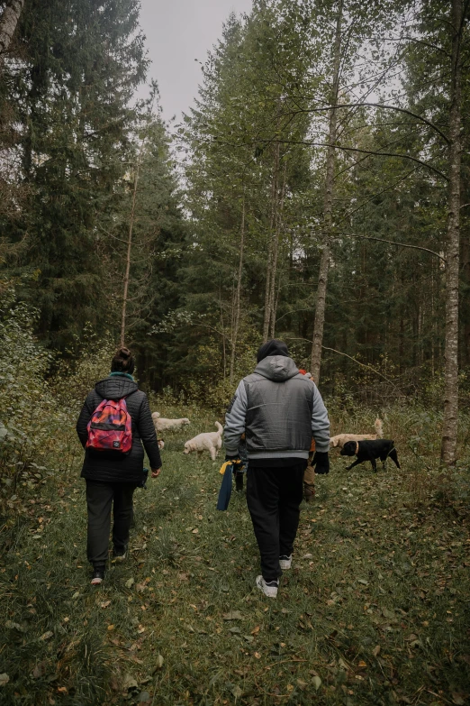 two people walking through the woods with their dogs