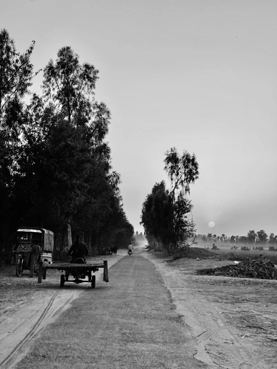 a black and white po with a street and trees
